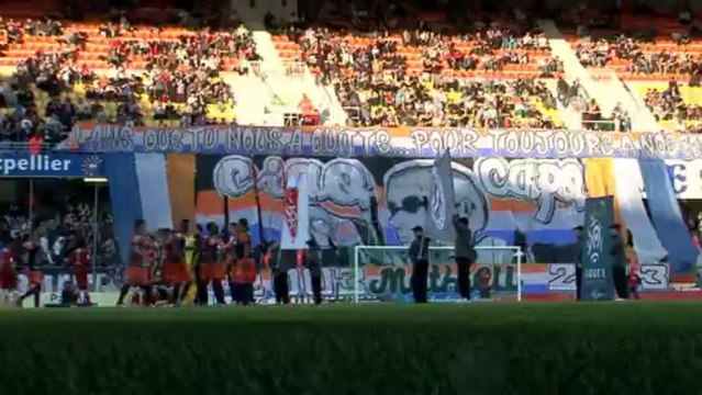 LE FILM DU MATCH (MHSC) : MONTPELLIER HÉRAULT SC - STADE BRESTOIS 29
