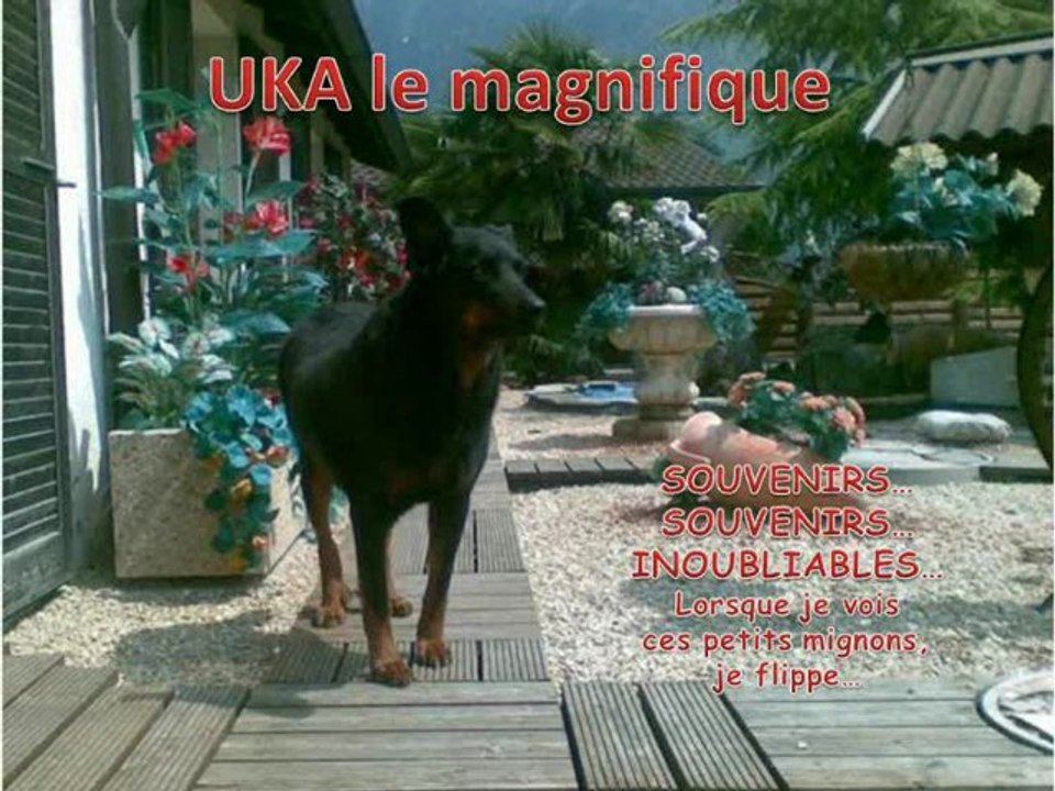 UKA SOUVENIRS SOUVENIRS_02_1