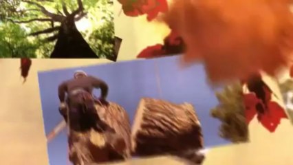 Frontier Tree Services (936) 525-9143