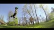 FRISBEE DOG, Border Collies in SLOW MOTION with GOPRO