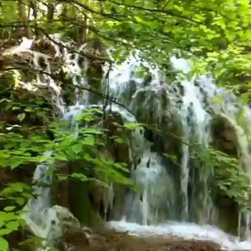 cascade parc de saint-Pons