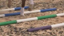 How To Use Trotting Poles