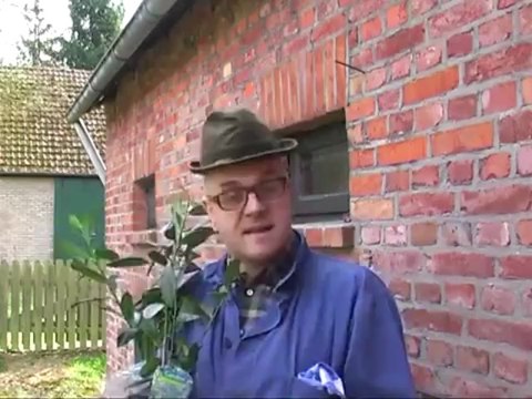 Die Zypern-Pleite - Angela Merkel und Vladimir Putin retten den Euro!