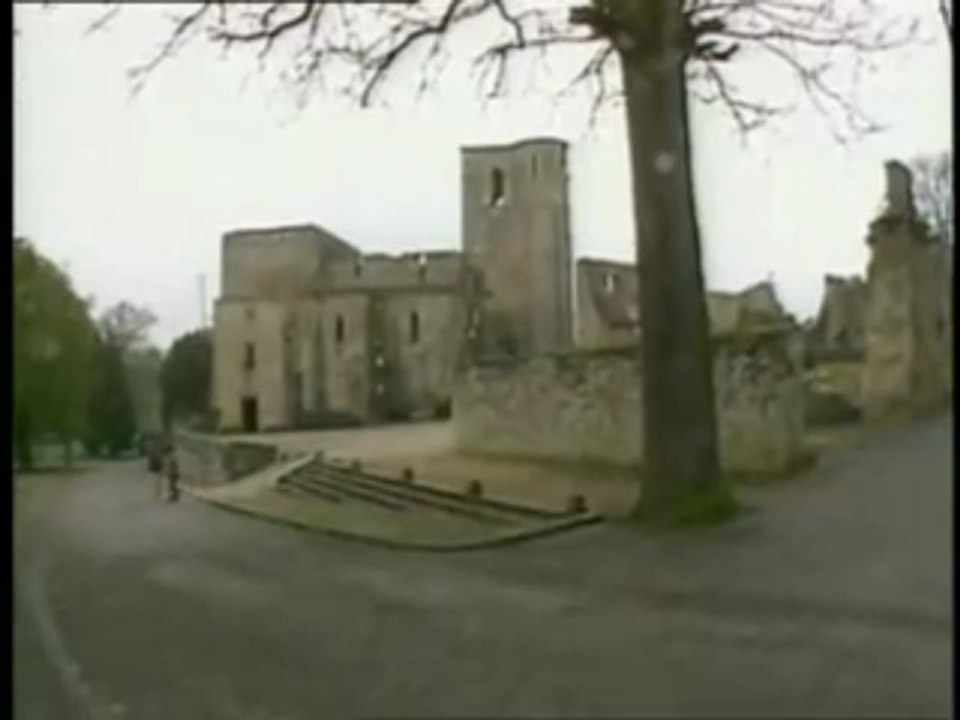 Oradour sur Glane et La Waffen SS division Deis Reich
