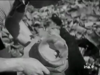 Oradour-sur-Glane   l’Alsace et le Limousin se déchirent