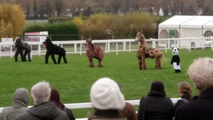 Family Tree Season 1: Episode #2 Preview