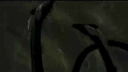 크라운바카라 ╊≤≤★GGO233.COM★≥≥╉ 나인바카라