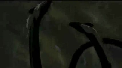 원스바카라 ╊≤≤★GGO233.COM★≥≥╉ 생중계경정