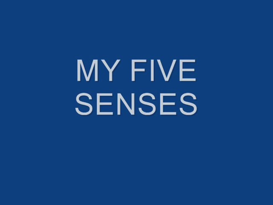 MY FIVE SENSES