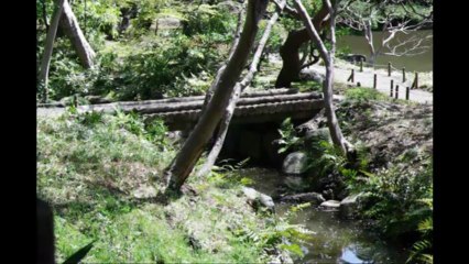 Tokyo - Jardin de Kyu Furukawa teien