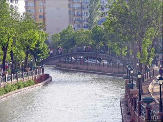 DOGAN TURAN YERE DÜŞTÜ ALAMADIM FESİMİ.