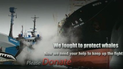 Sea Shepherd launches Operation Relentless