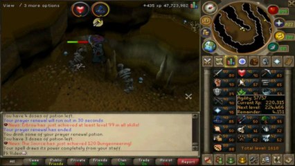 The Pure Experience - What's Wrong with Runescape?