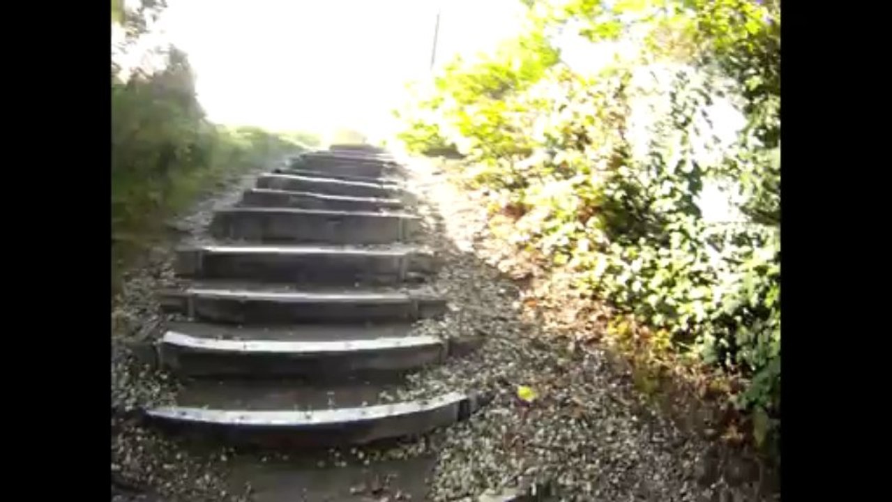 Trail les falaises des vaches noires