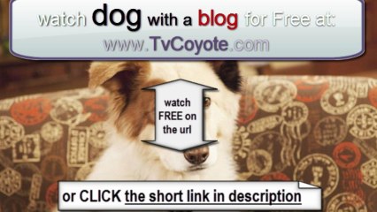 Dog With a Blog Season 1 Episode 15 - Avery's First Crush  Full Episode