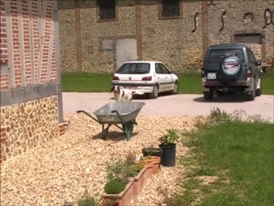 13-05-10 Cosaque et la patience