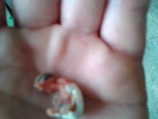 video-2013-05-09-12-42-56