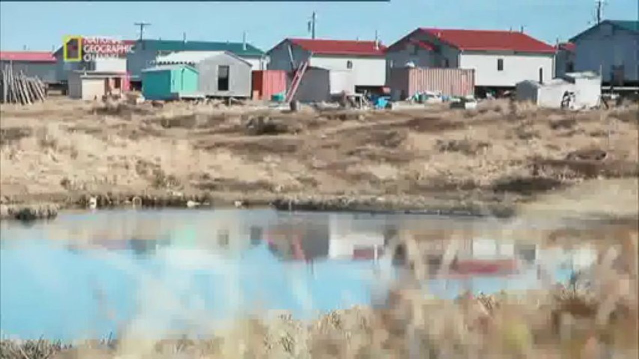 Alaska - La ruée vers l héroïne