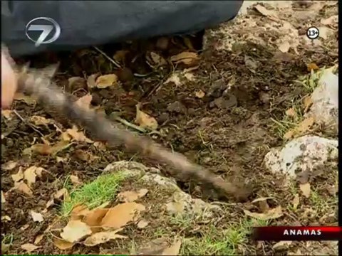 Kanal 7 WebTV, Tv Filmi, tv filmi izle, tv filmi online izle, kanal 7 tv filmi izle, anamas izle, anamas online izle2