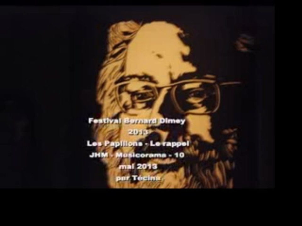 Festival Dimey 2013 - Les papillons - Le rappel