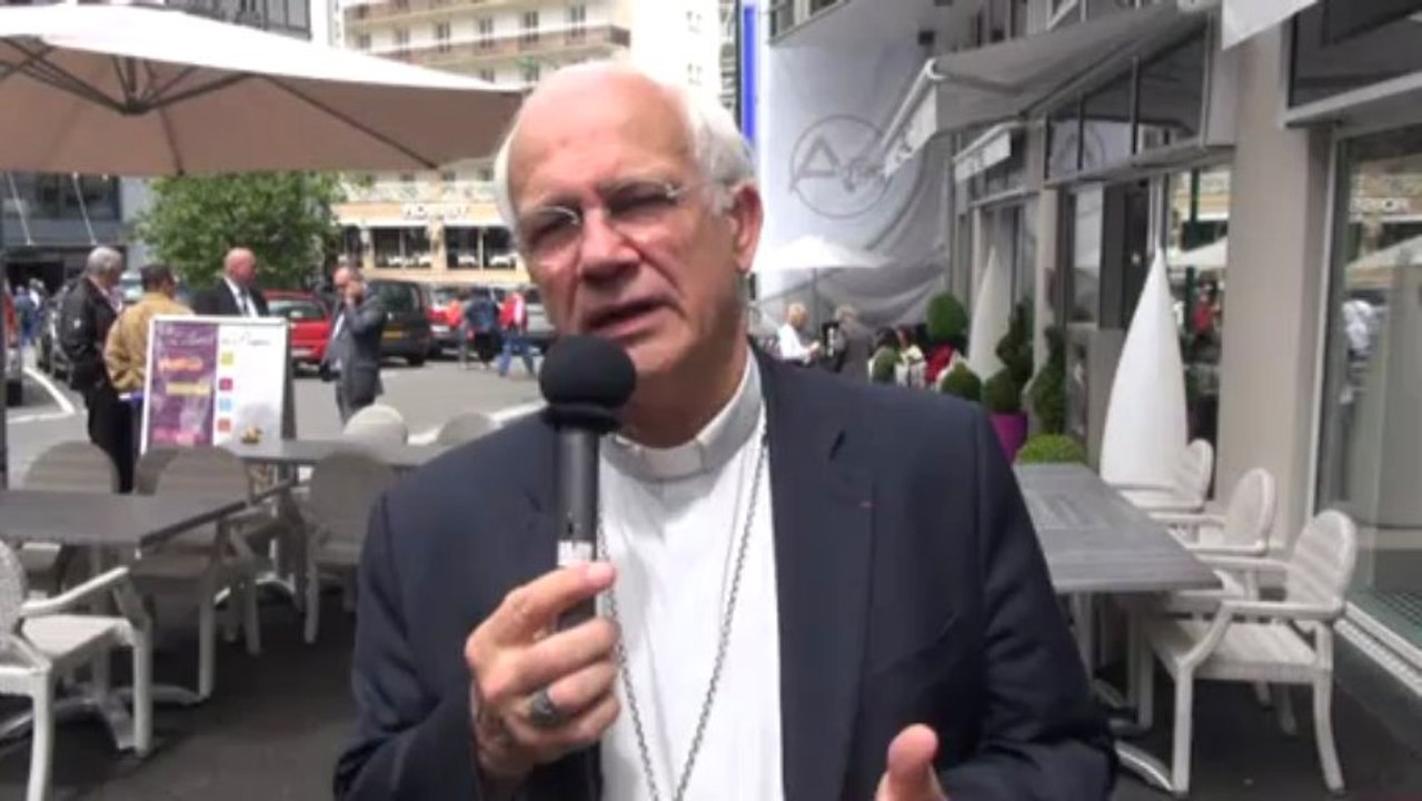 Pélé Lourdes 2013 - Mgr Lalanne