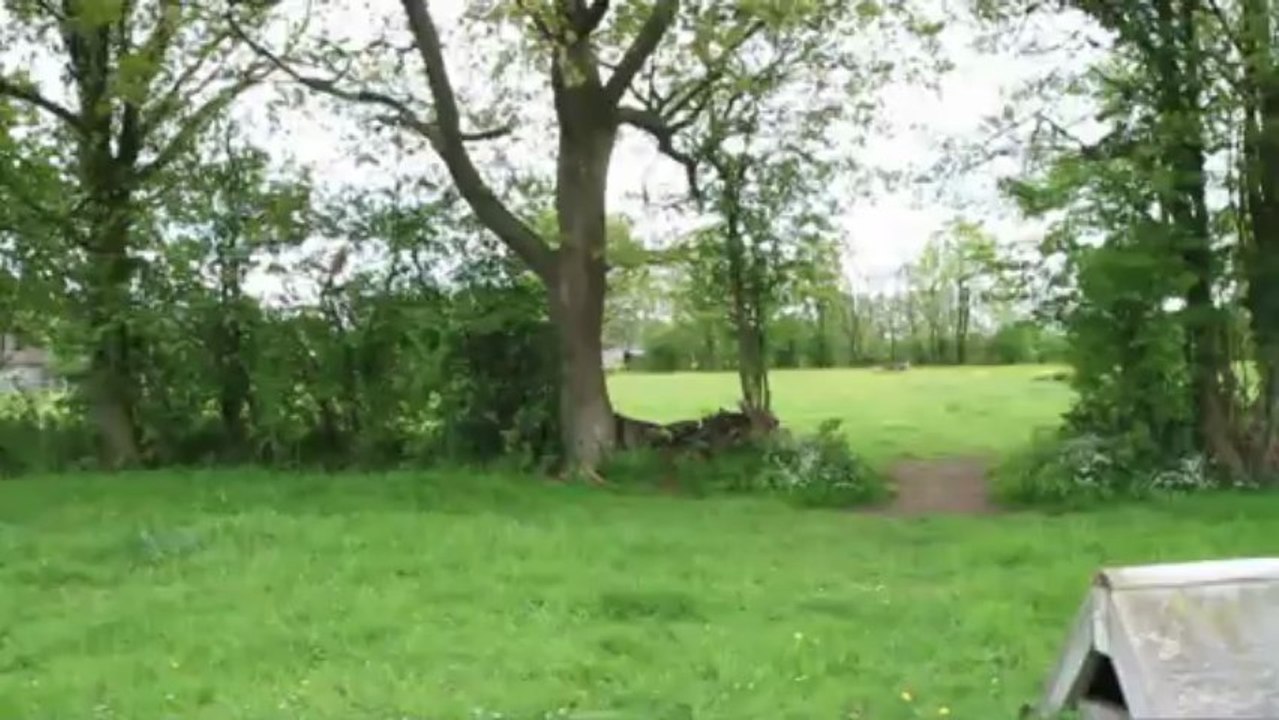 CrossJessUmour02
