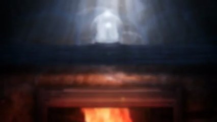 What you need to know and understand about  Privacy Screen