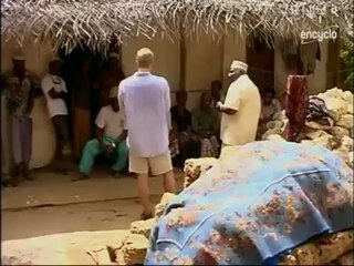 Sur les traces d'ADAM