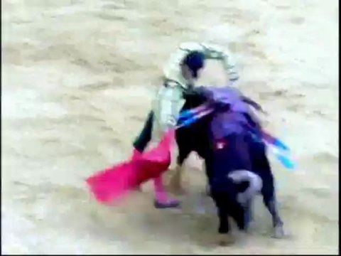 Jerez - Corrida de Toros 11 de Mayo - Padilla