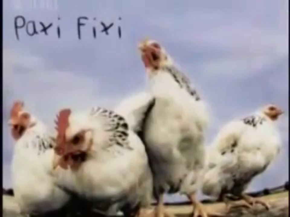 LET´S PLAY PAXI FIXI ORIGINAL