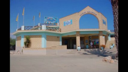 Океанариум. Протарас. Кипр. 2011г.