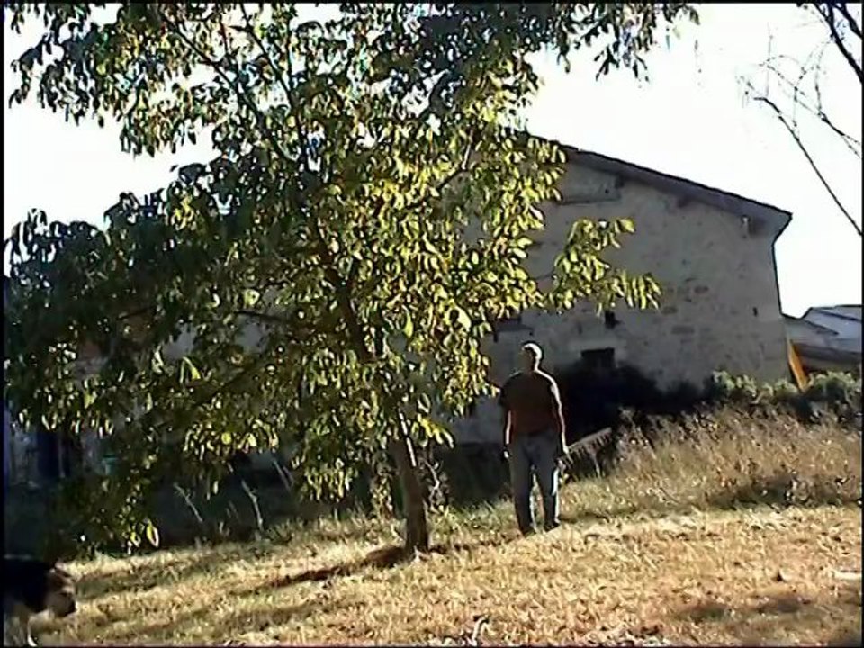 VTS_01_1