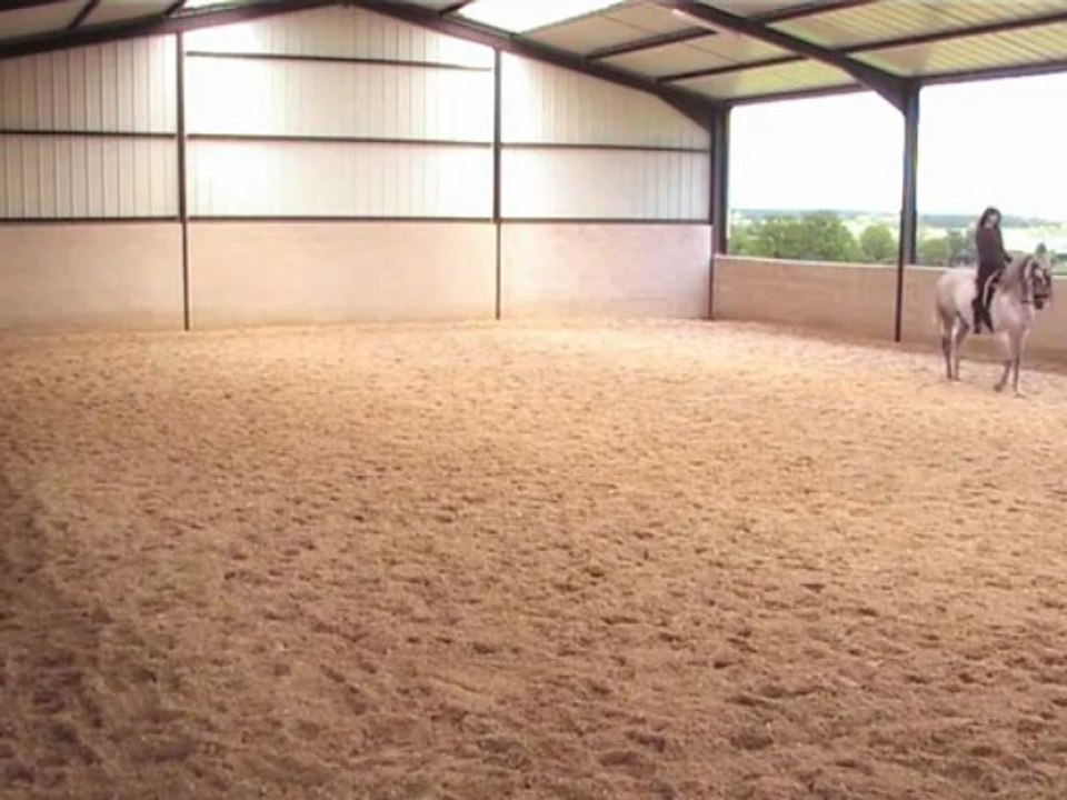 11 mai 2013 piaffer et changement de pieds pas corrects