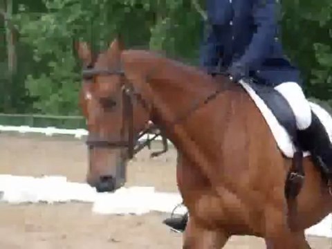 Elodie et Quaker - Dressage cce bazoges mai 2013