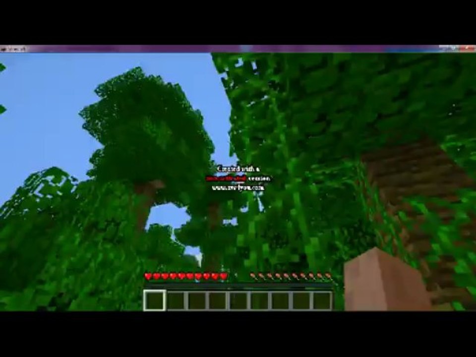 minecraft DEBUT