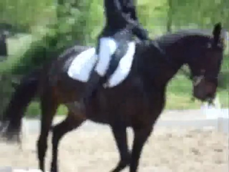Dressage Championnat départemental Karine et Hermine