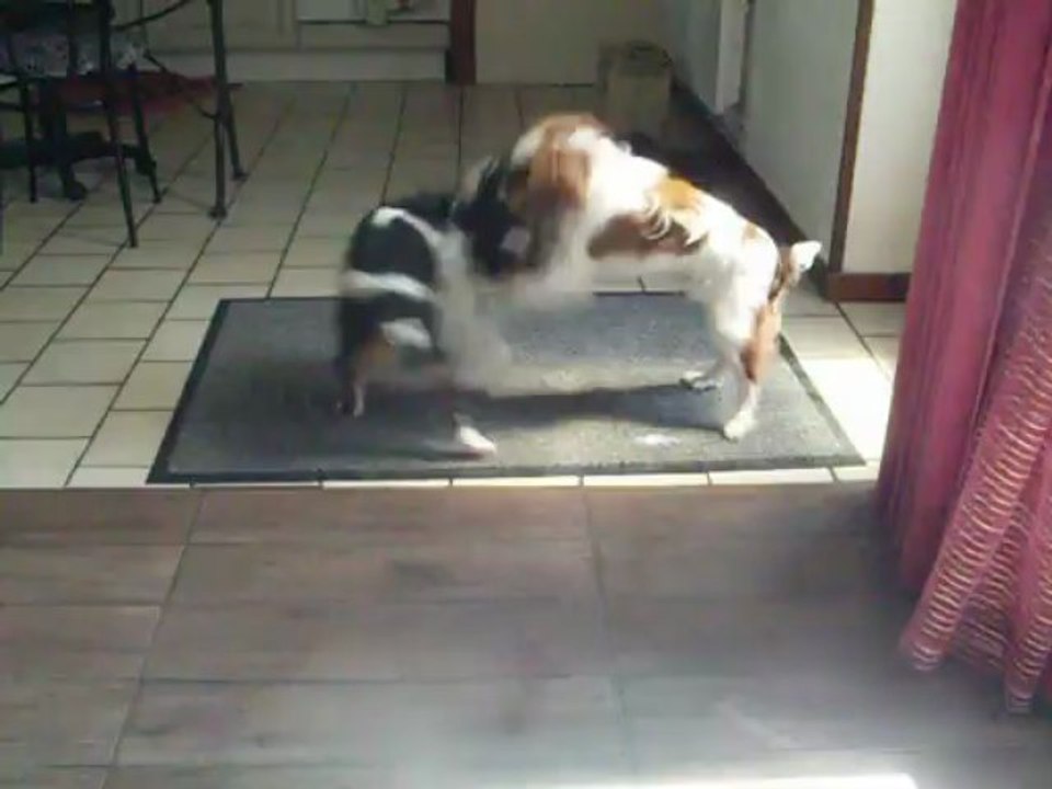 HYMA SUMAC , HEPHAESTION DE LA VERTE ALBION