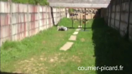 Cow-boy action shooting à Clermont