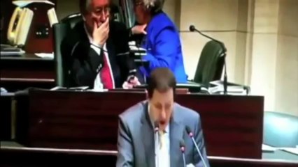 Belgischer Abgeordneter über Anschläge unter falscher Flagge