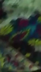 Rigging by mqm workers at women polling station - YouTube