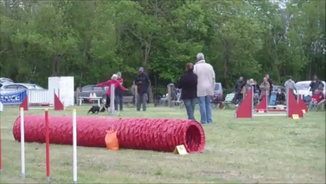 Vodka Concours de St Brevin 2013-05-12