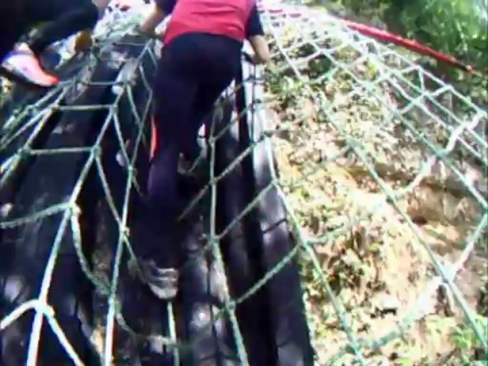 Sharks Terrors - Frappadingue 2013