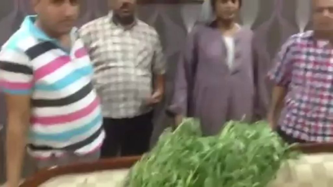 ضبط سائق بحوزته مدفع جرينوف و50 شجيرة بانجو مزروعة بمنزله بسوهاج‎