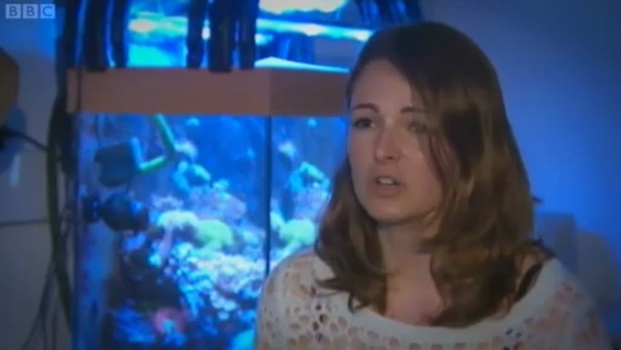 BBC Spotlight - 10/5/13