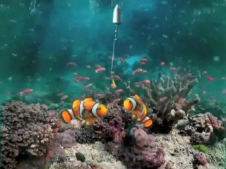 TV Critic: Ufone losing objectivity in TVCs