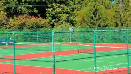 Carlton Apartments in Indianapolis, IN - ForRent.com