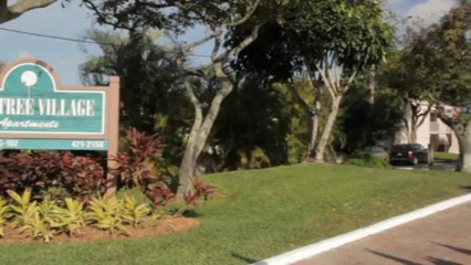 Limetree Village Apartments in Deerfield Beach, FL - ForRent.com