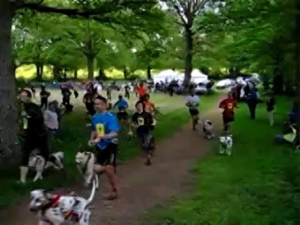 canicross de st st erblon depart des initiés