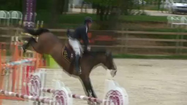 Saturne du Bec by Ibis de Courcel x Muguet du Manoir Grand prix Csi 7 years old Le Mans