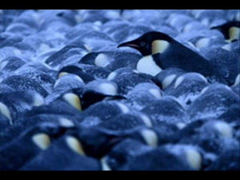 Cheap LOCOMO Women Girl Cute Devil Horn Cat Ear Slouchy Knit Beanie Crochet Rib Hat Cap Warm FAF033